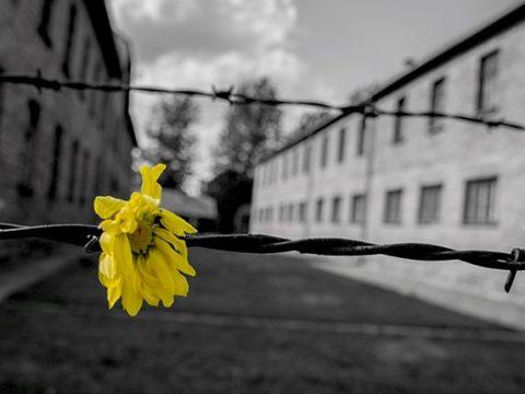 La memoria del bene – mostra fotografica a Centallo per commemorare la Shoah