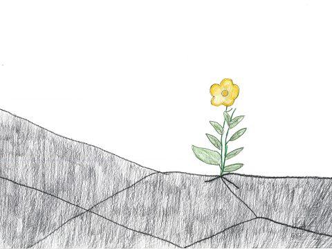 DIALOGHIAMO CON I SENTIMENTI
