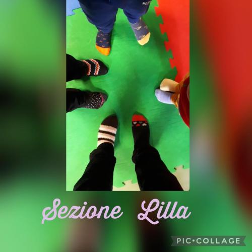 sezione lilla